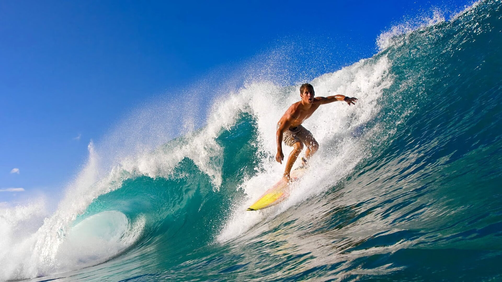 “四川省体育馆：自由搏击赛事，选手们展开血脉喷张的极限对抗！”