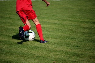 mk体育官网电脑版-体育新闻中心发布体育短视频内容运营新策略，体育短视频存在的问题